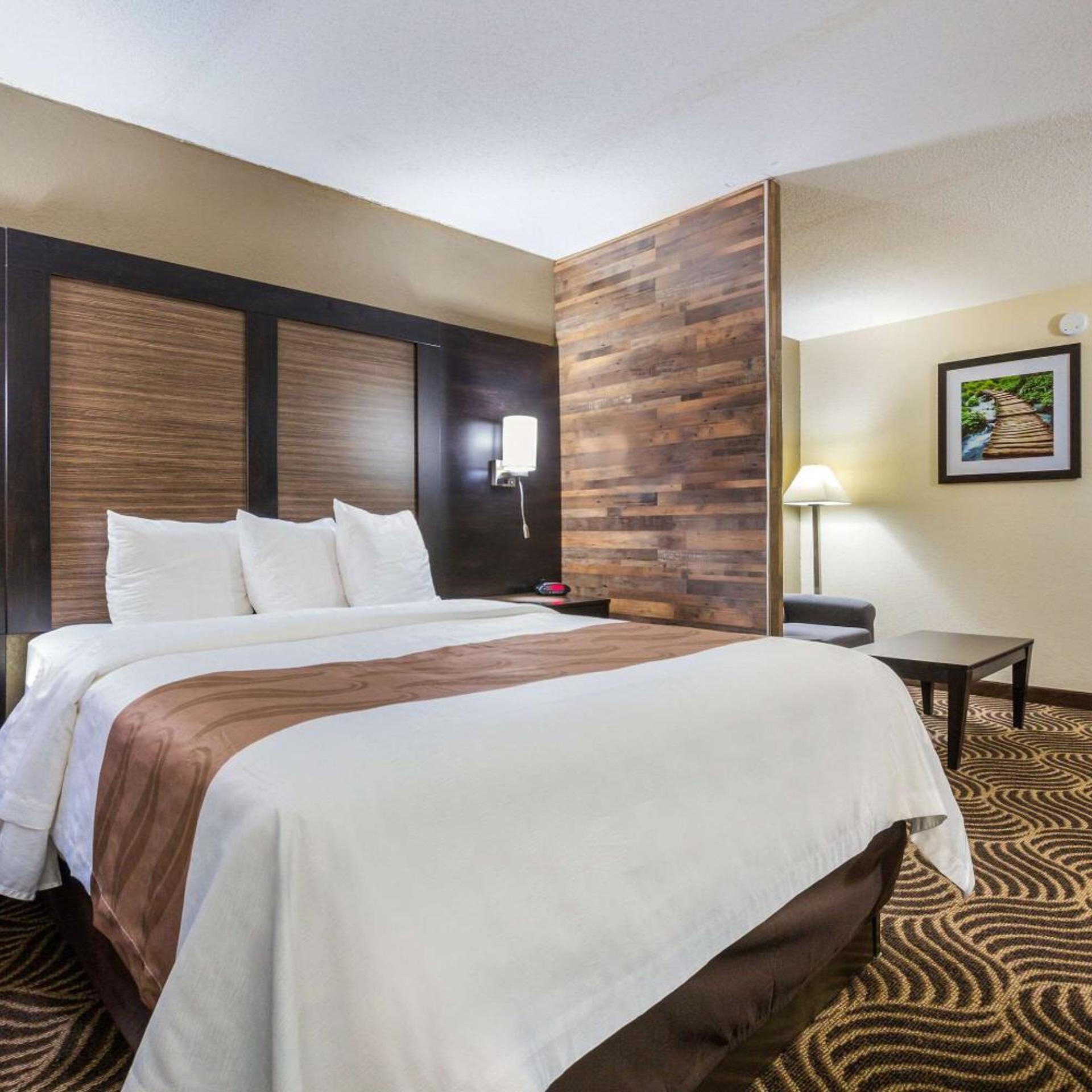 Suite, Queen Bed, Sofa