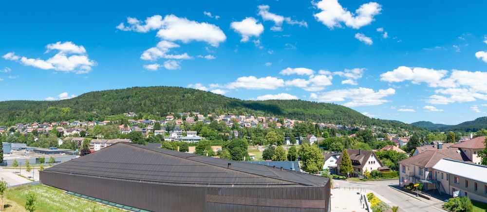 Hotel Schlossberg Wehingen 60/61