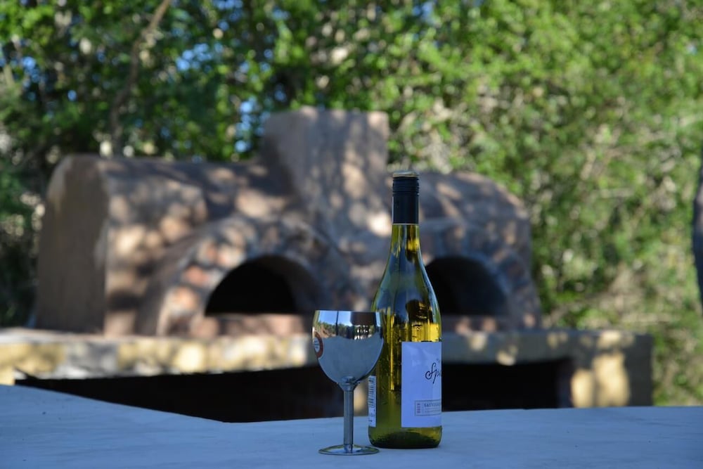 Wild Olive Tree Camp photo2
