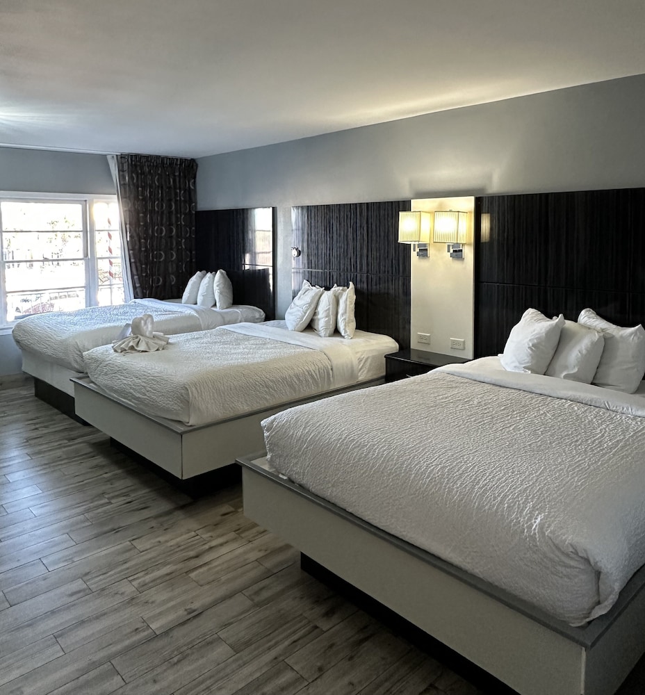 Marion Motor Lodge 15/65