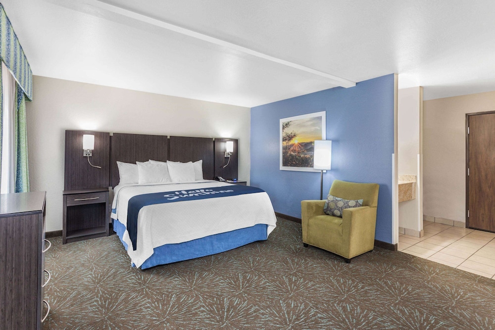 Studio, Suite, King Bed