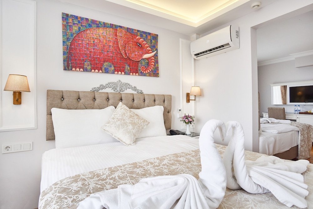 Hotel Beyazit Palace 23/64