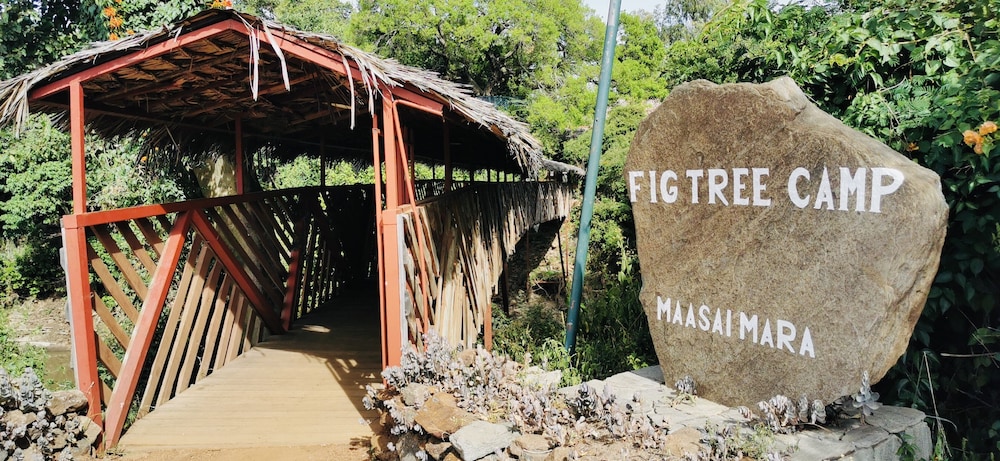 Fig Tree Camp 44/45