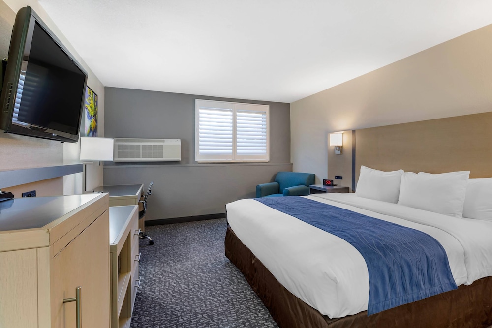ROOM, KING BED, ACCESSIBLE