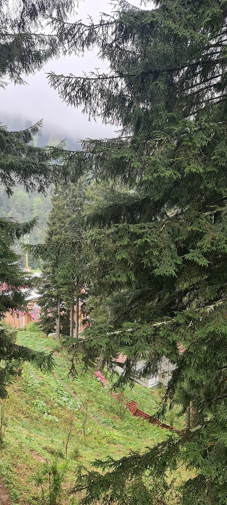 AYDER DOGA RESORT 82/84