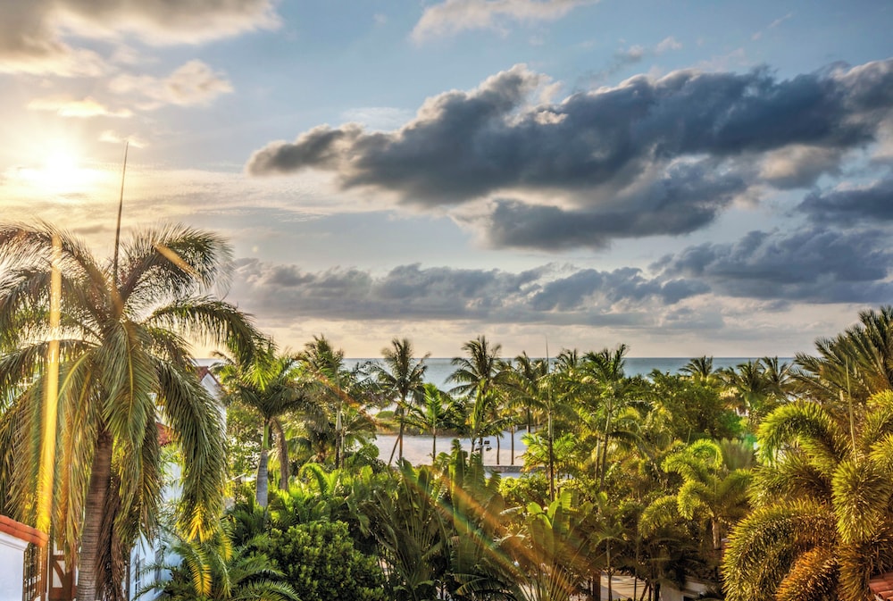 Dream South Beach by Hyatt 45/50