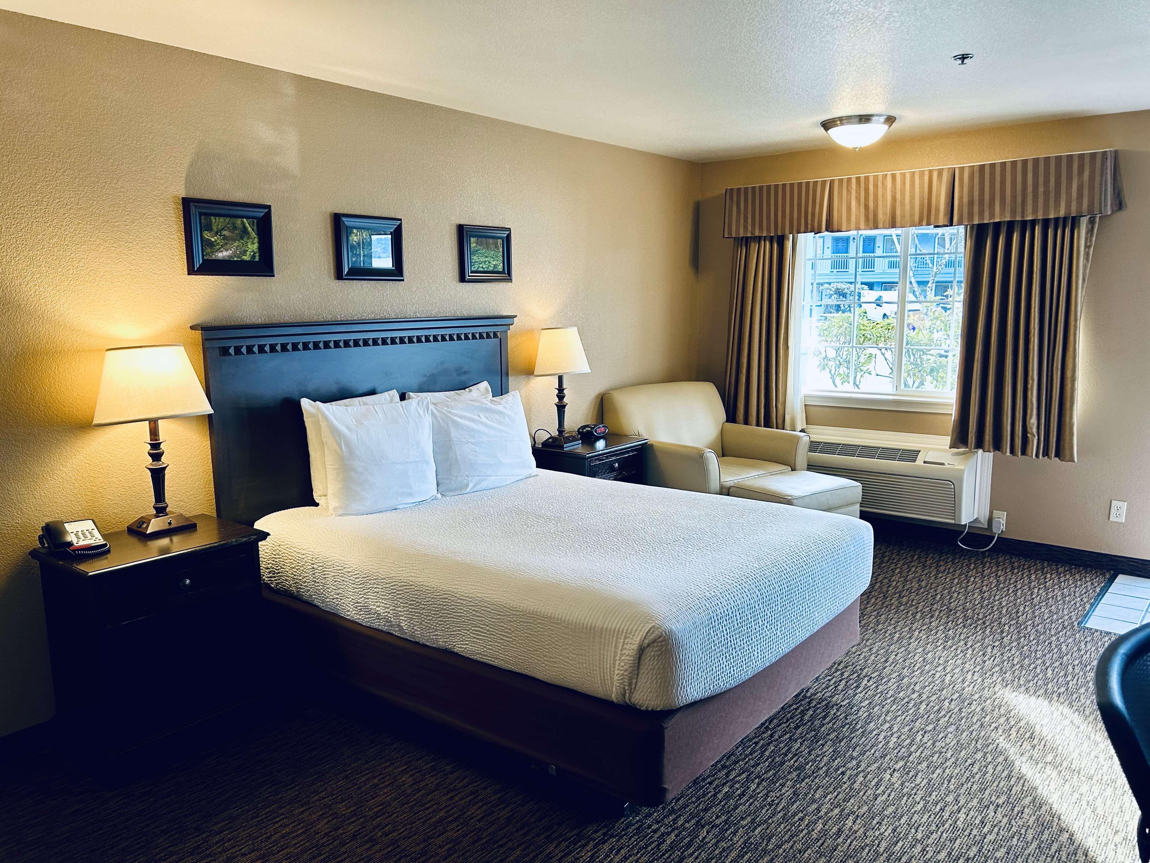 Room, Queen Bed