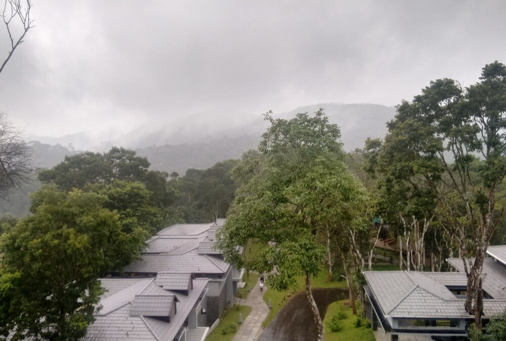 The Mountain Courtyard Thekady 24/29