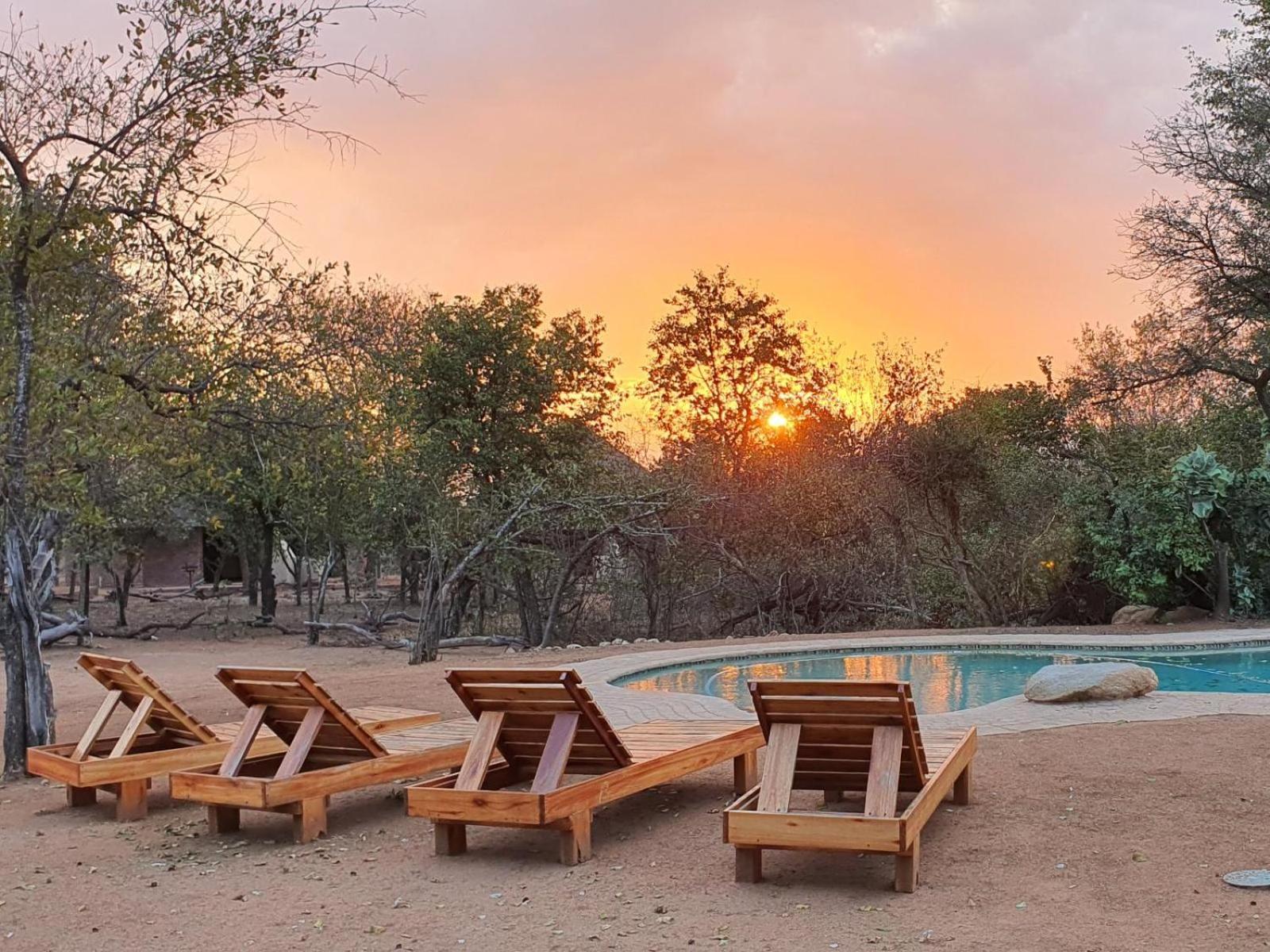Masorini Bush Lodge 37/50