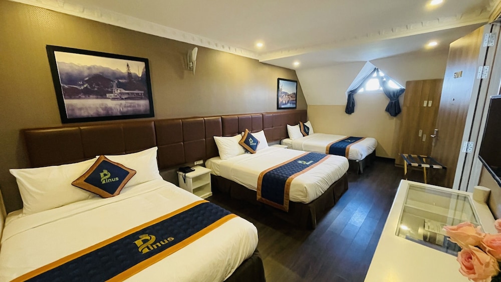 Pinus Hotel 24/51