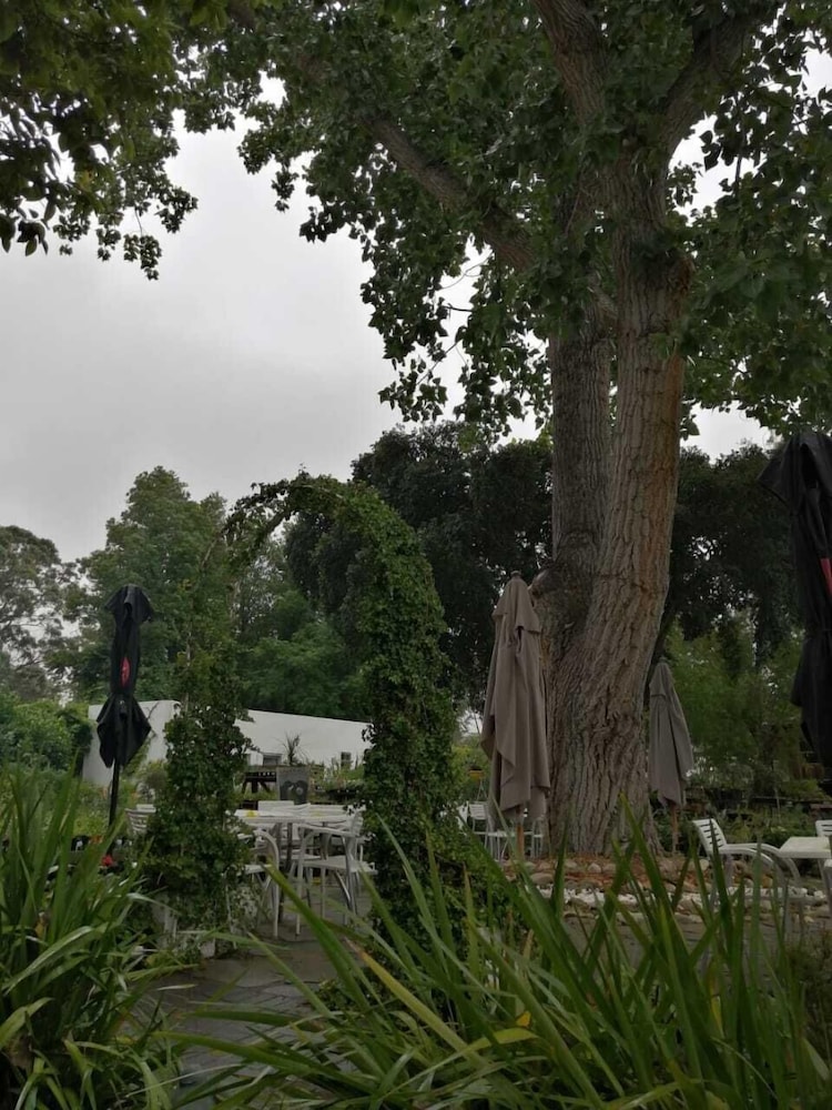 Fiore Guest Accommodation 45/50