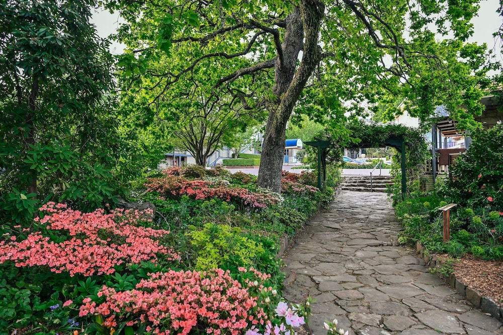 Comfort Resort Leura Gardens 60/65