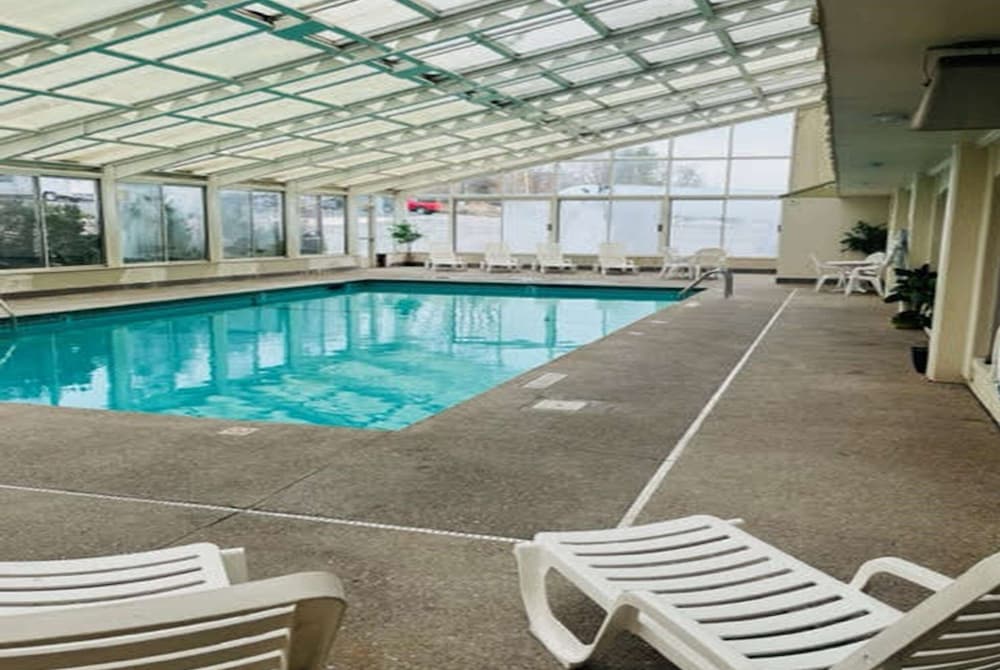 swimming pool spa