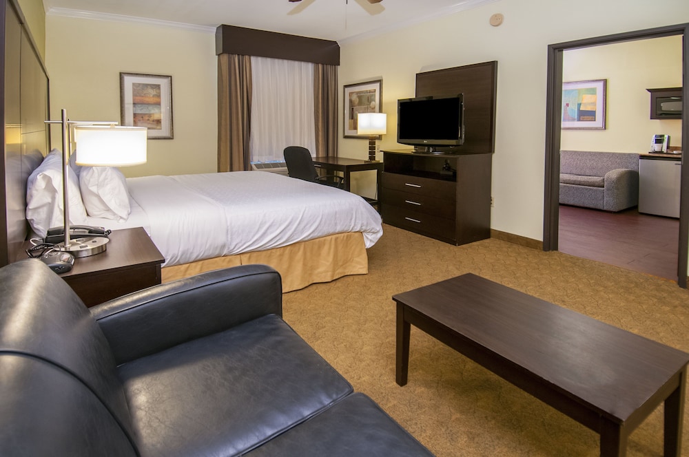 Holiday Inn Express Hotel Suites Houston North Intercontinental 11/48