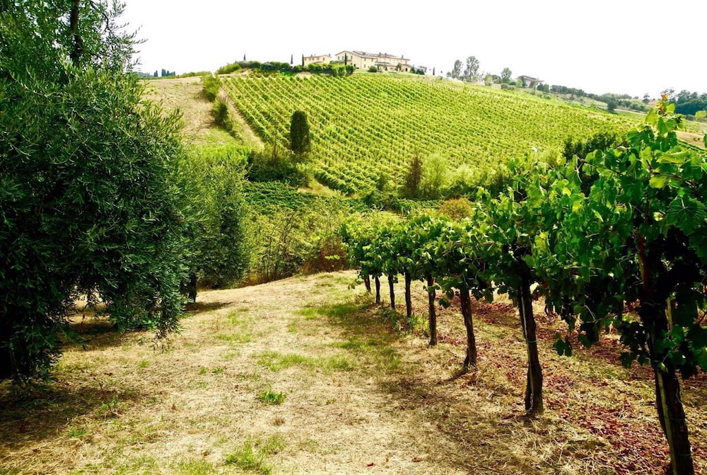 Azienda Agricola Musignano 47/50