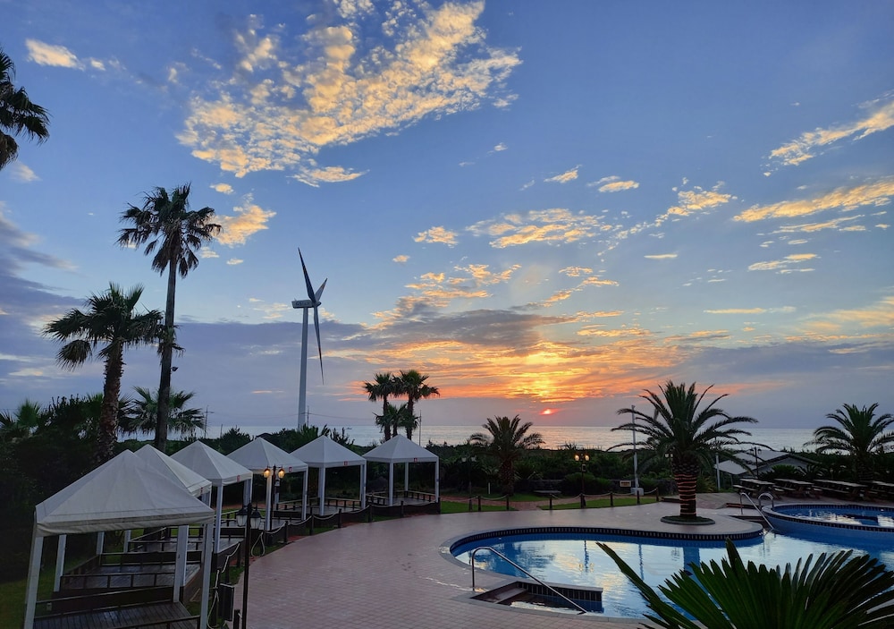 Blue Hawaii Hotel Jeju 19/24