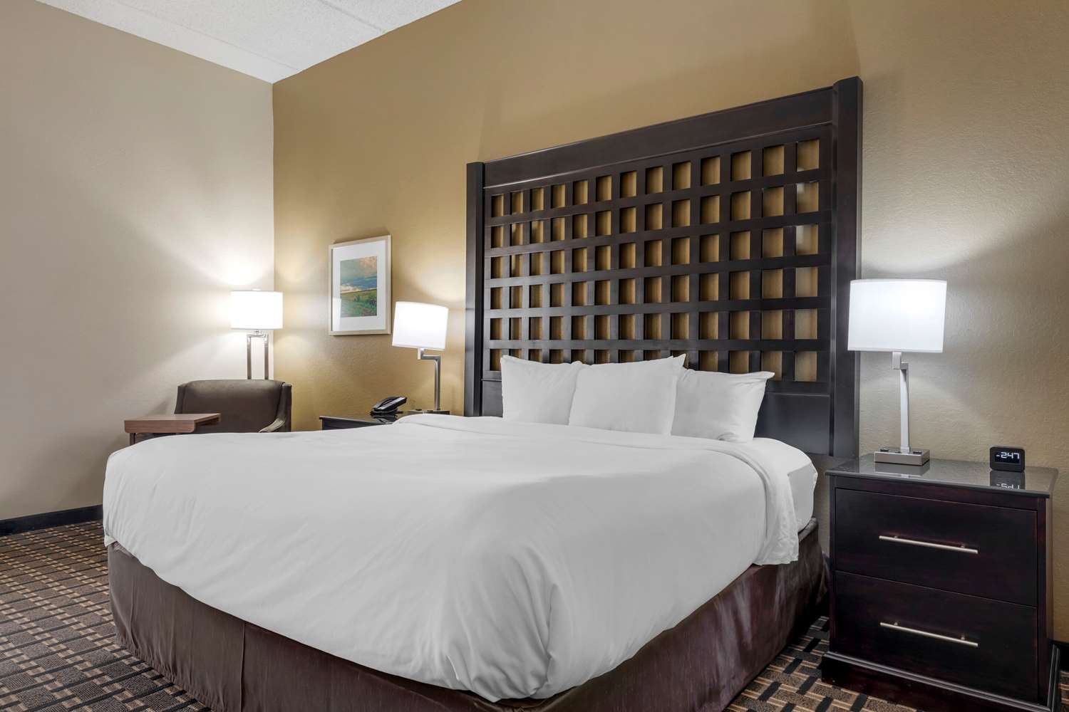 Room, King Bed, Accessible