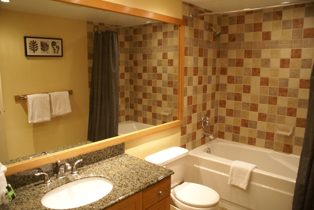 Whistler Superior Properties 28/31