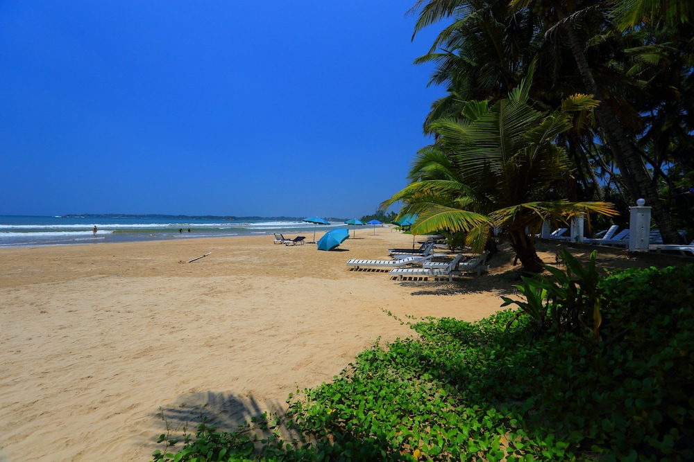 Jaga Bay Resort 48/50