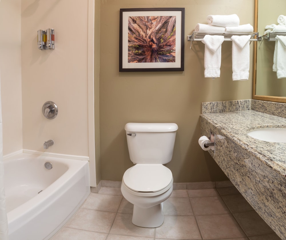 Gray Wolf Inn And Suites 25/67