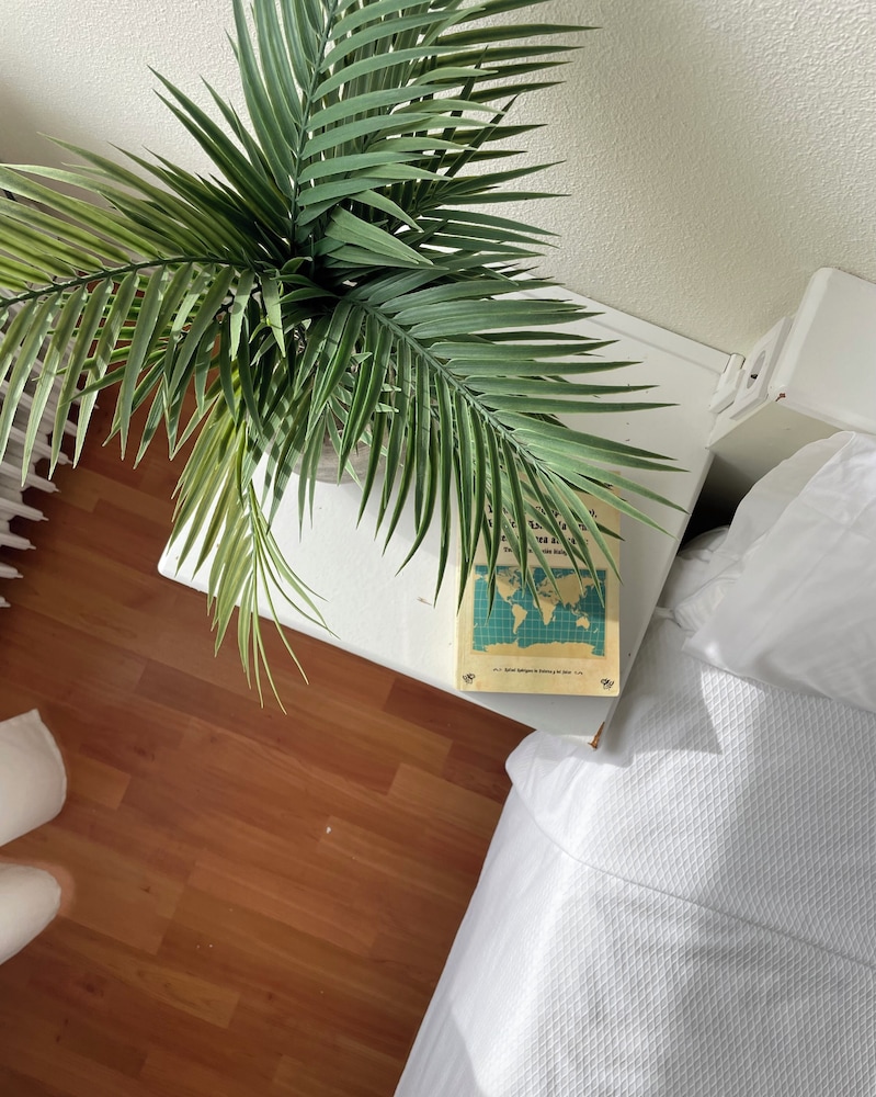 Hotel la Mota 16/28