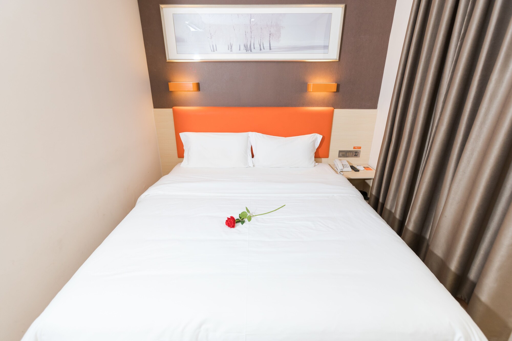 Type 1, Standard, Double Bed
