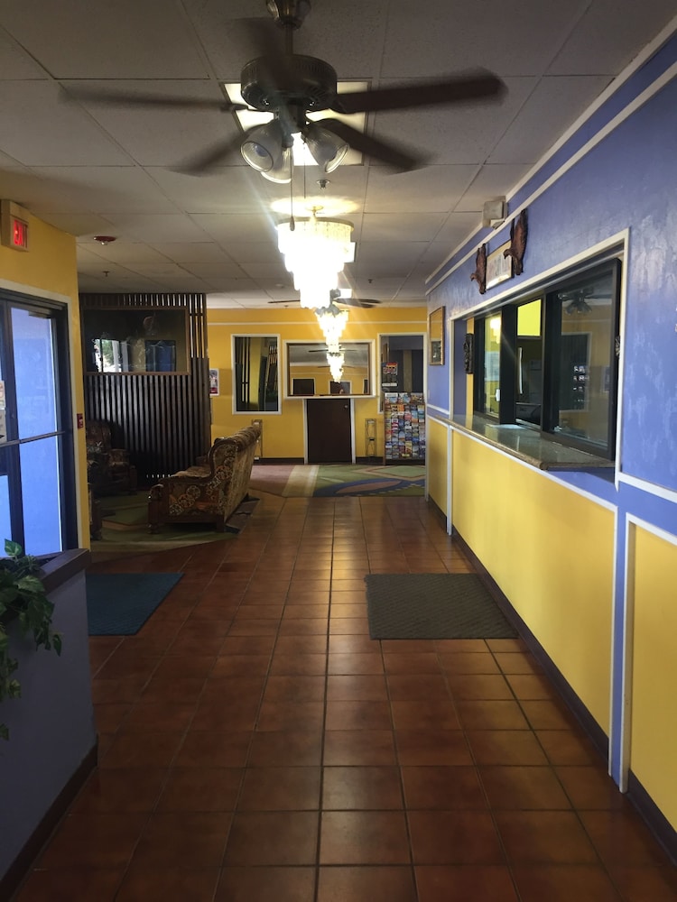 Camelot INN 19/22