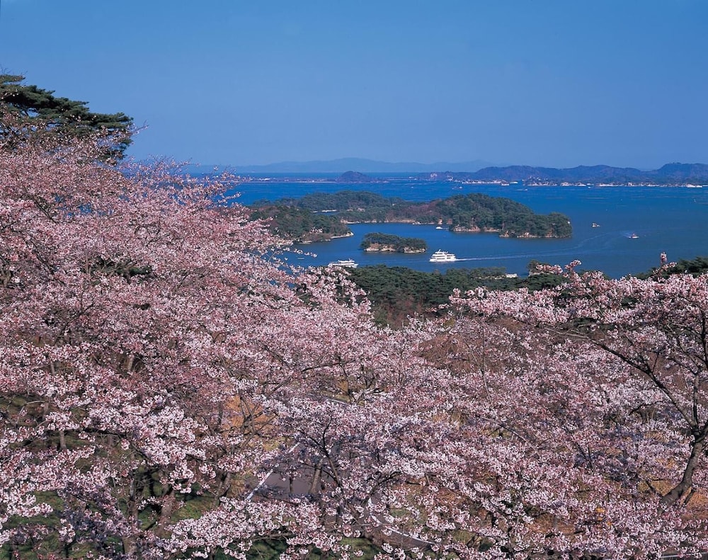 Hanagokoronoyu Shintomitei 54/61