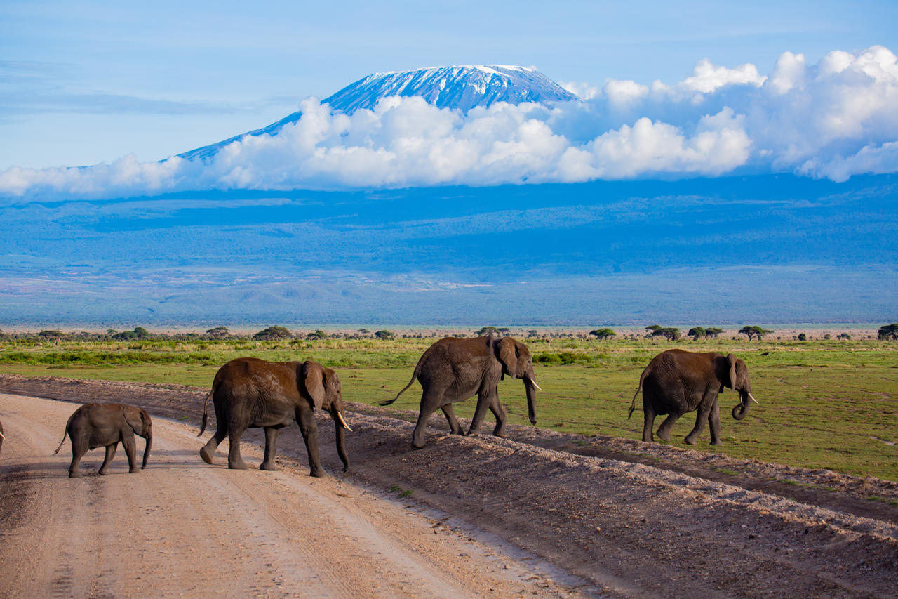 Amboseli Serena Safari Lodge 78/81