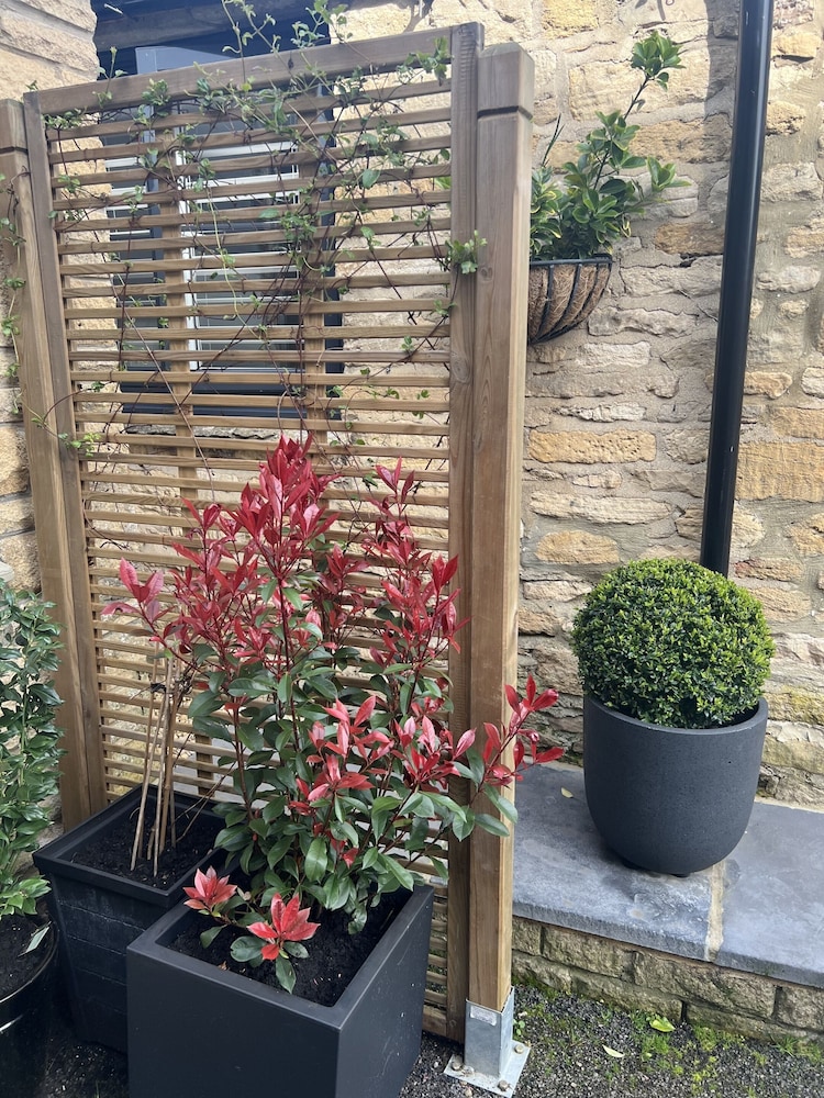 The Priory Burford Bed And Breakfast 40/59