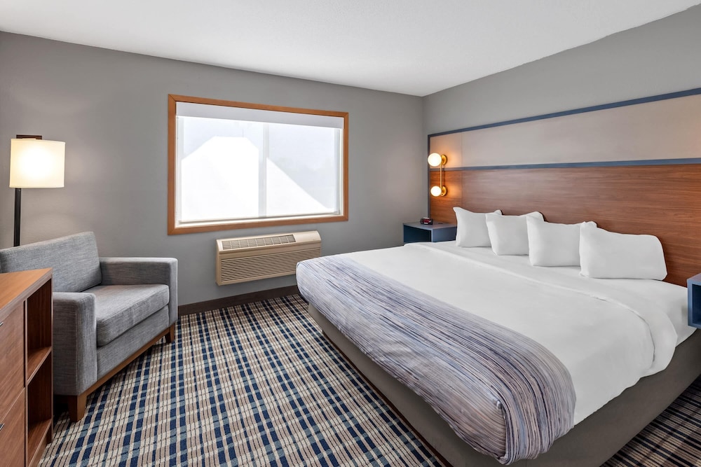 1 Bedroom, Premier, Suite, King Bed