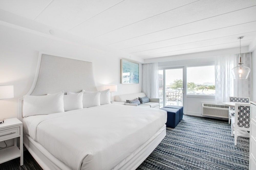 Signature, Studio, King Bed, Sofa, ICONA Windrift 2/4