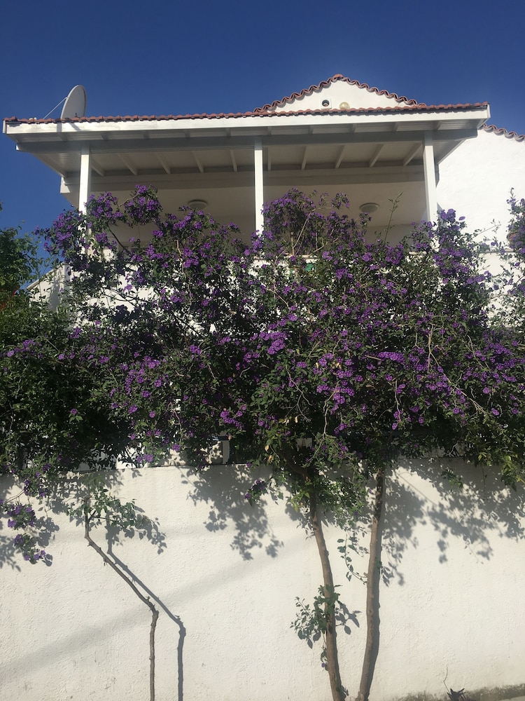 Defne Ev Hotel 3/41