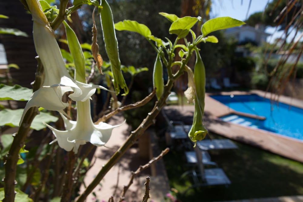 Hotel Soho Boutique Vistahermosa 27/35