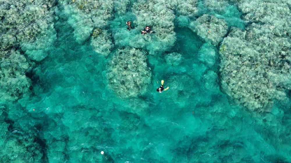 South Pacific Memories 16/49