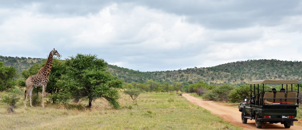 Mabula Game Lodge 6/66