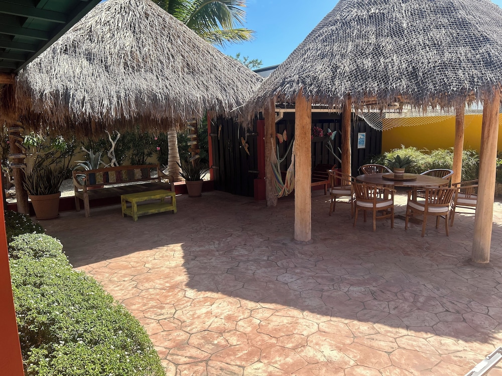 Casa Opal 33/50