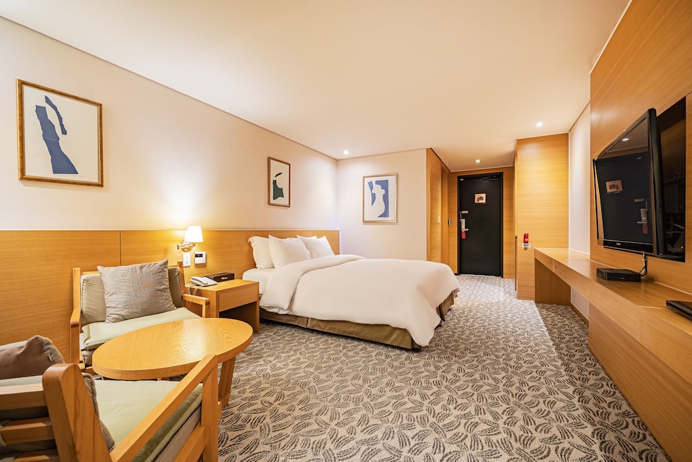 Benikea Hotel Bizinn (ex Hotel Bizinn) 18/50