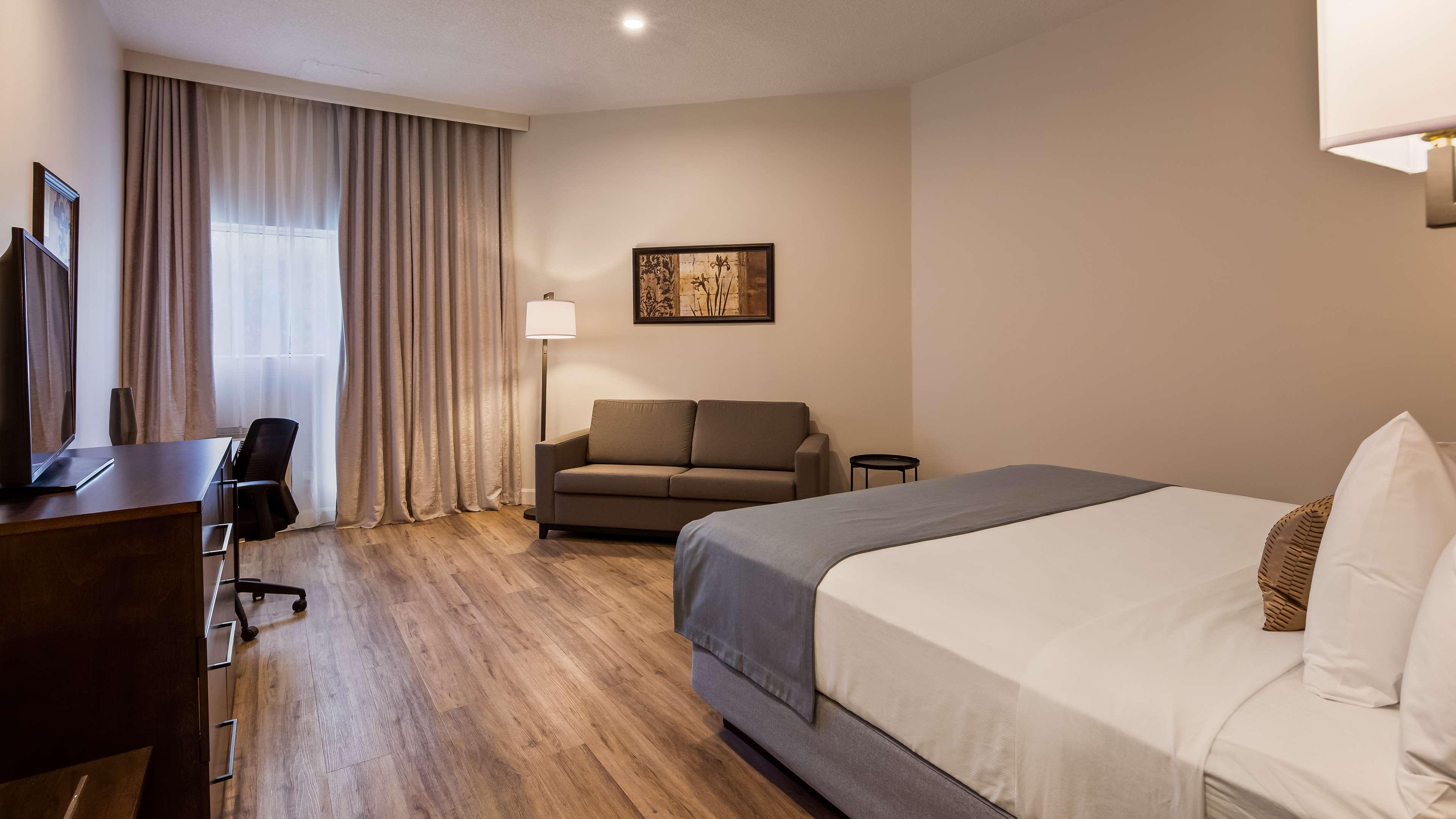 Room, Queen Bed