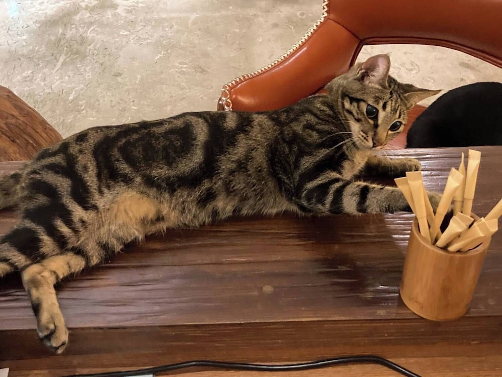 リーコ ホテルズ 写真4