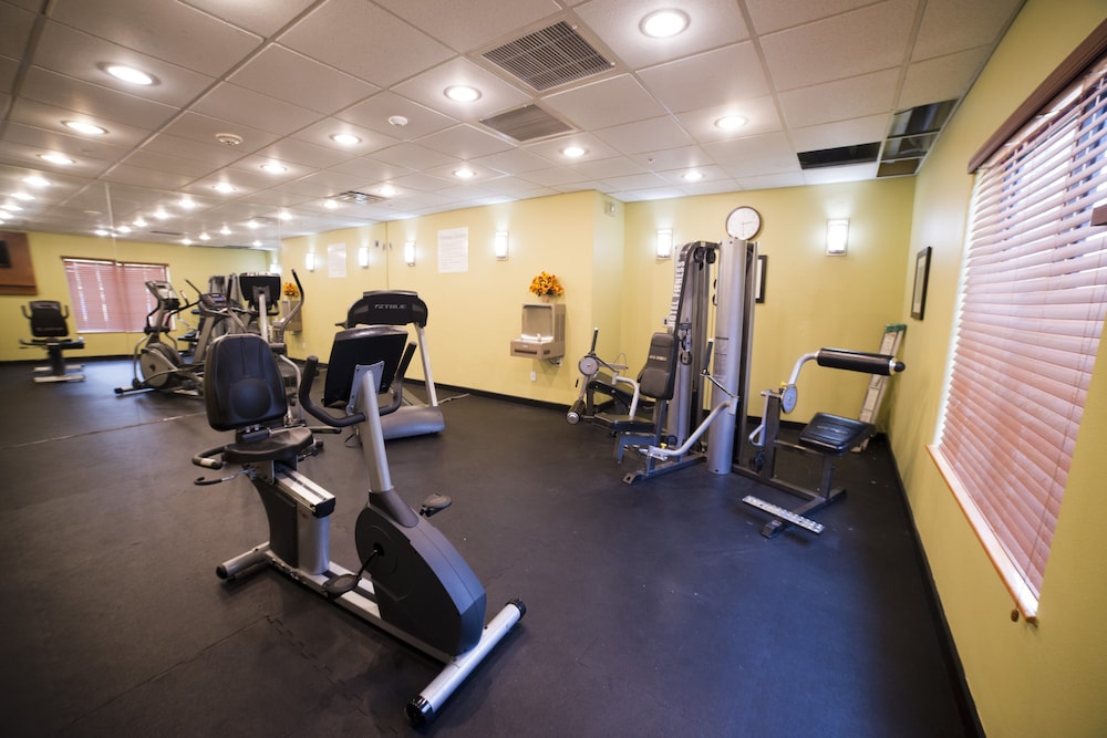 Holiday Inn Express Hotel Suites Atlanta East Lithonia 41/66