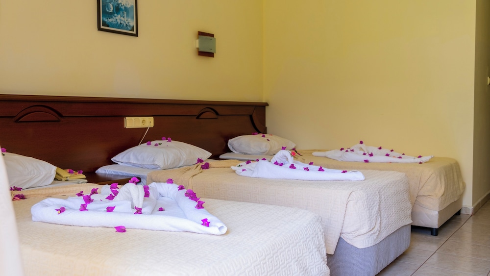 غرفة قياسية بسرير مزدوج بإطلالة على الجبل بشرفة، Imeros Hotel 2/5