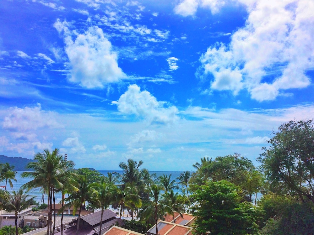 Bearpacker Patong Hostel 40/50