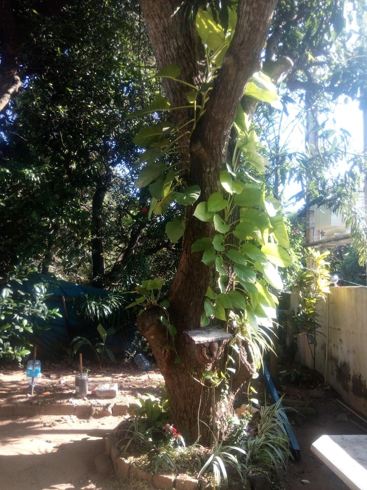 Goalma Holiday Resort 43/50