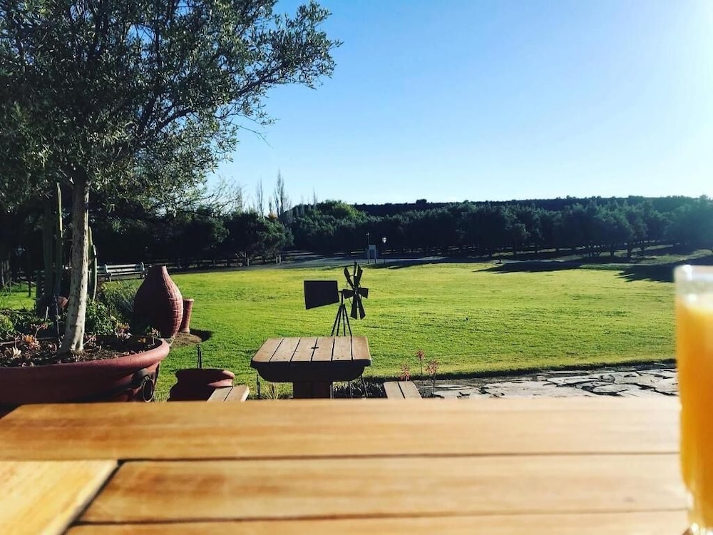 Olive Grove Guest Farm 43/50