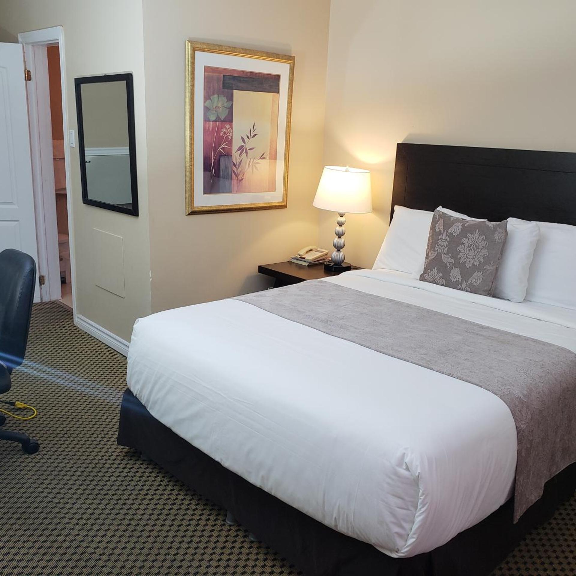 Regency Inn & Suites 15/33