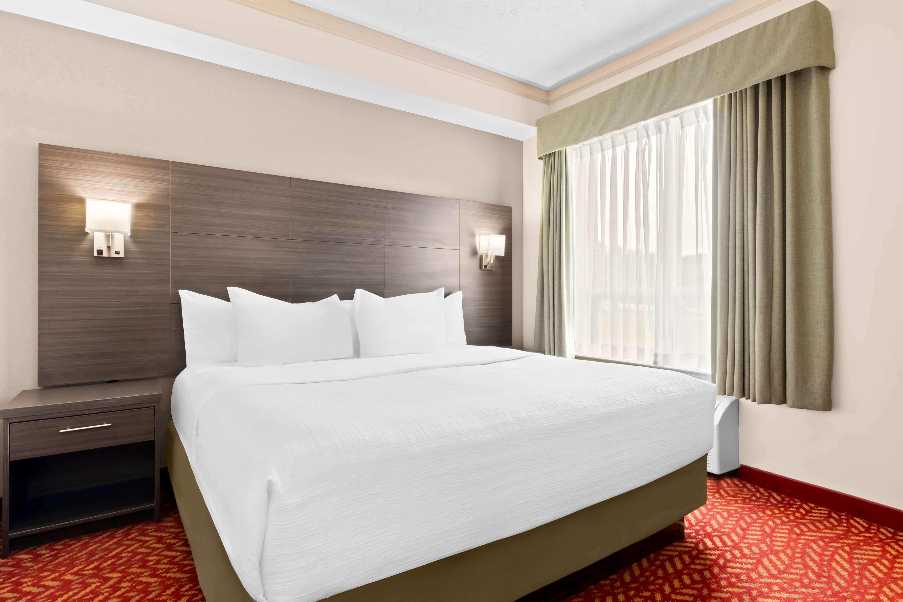 Boardroom, Suite, King Bed, Sofa, Living Area