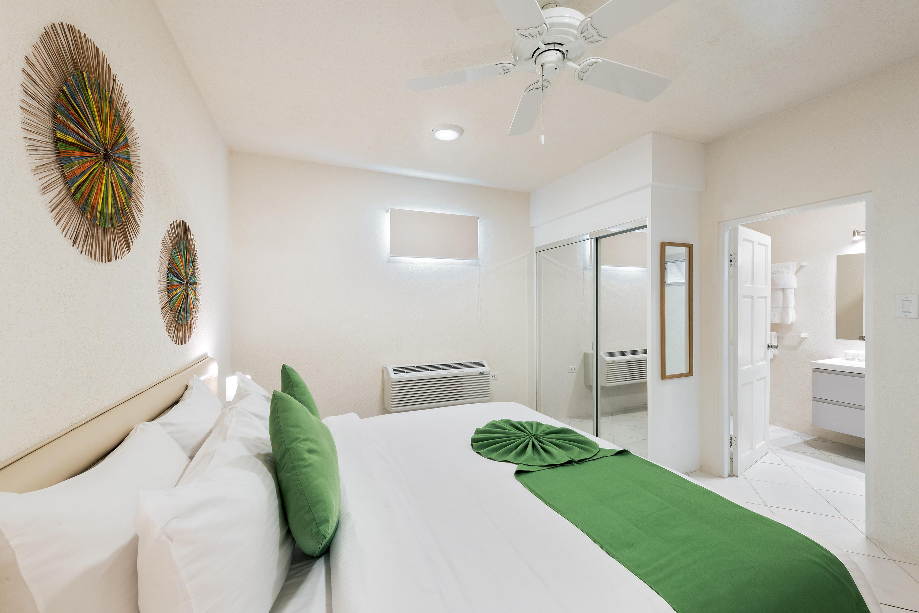 Deluxe One-Bedroom Apartment