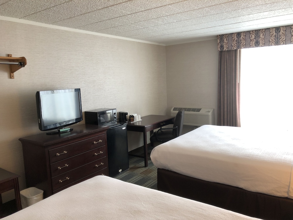 Quality Inn Bath NY 15/24