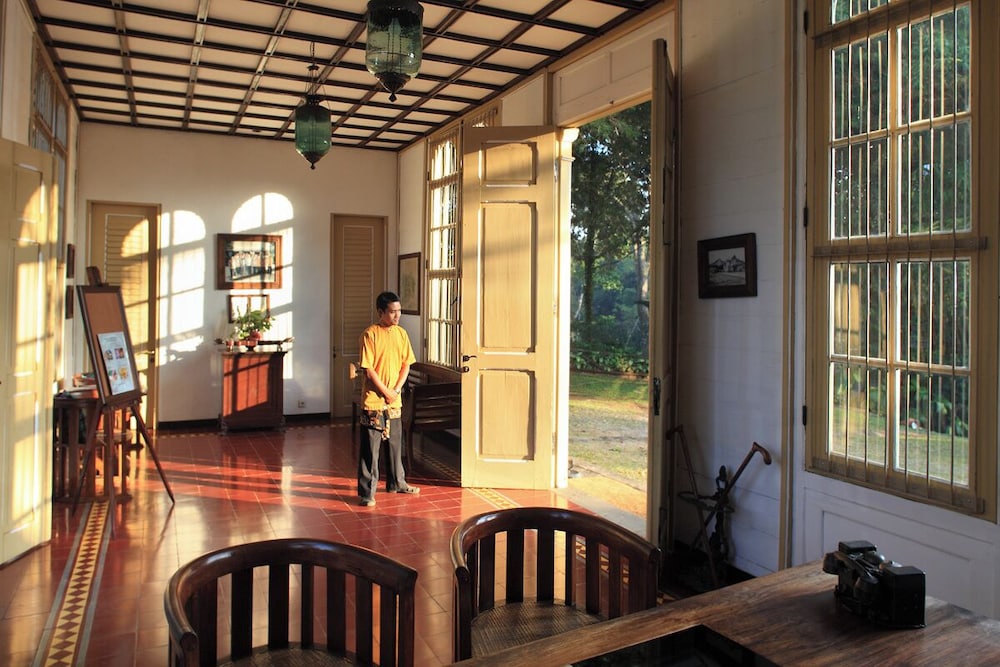 Mesastila 33/49